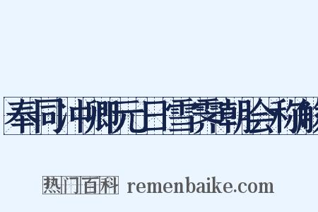 奉同冲卿元日雪霁朝会称觞是什么意思的图片